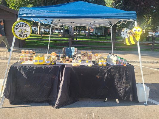 Table of homemade goods