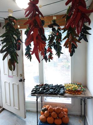 Dried peppers hanging from ceiling