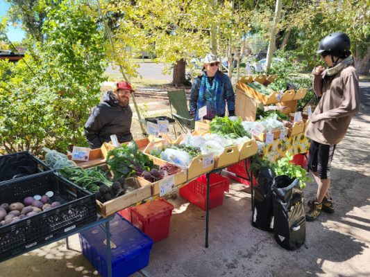 Vendors selling produce at farmers market