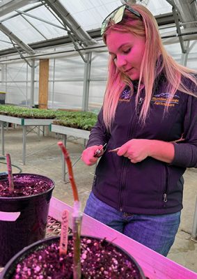 Woman working in a greenhouse