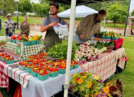 People bagging fresh produce at a farmers market