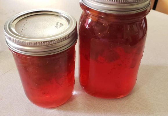 Jars of red jelly