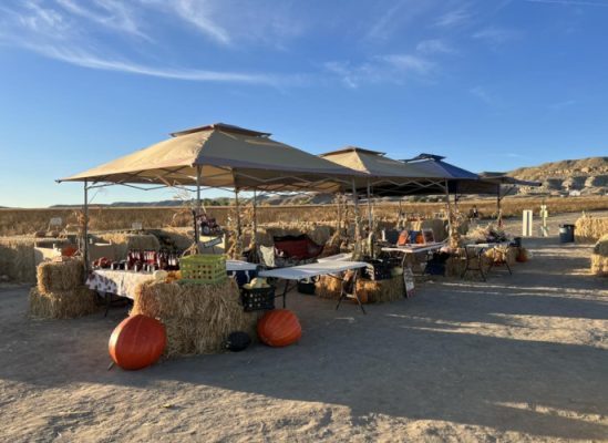 Tents over tables with fresh produce.