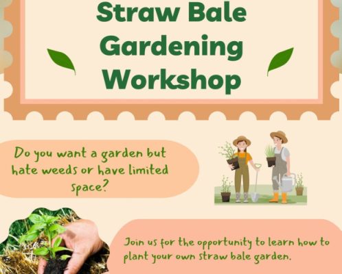 Flier for Straw Bale Gardening Workshop