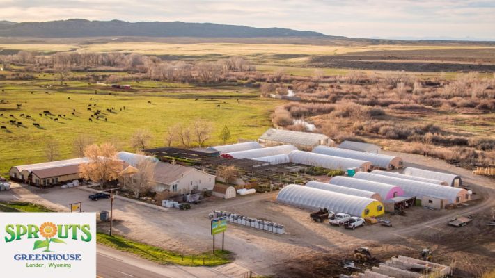 Greenhouses buildings