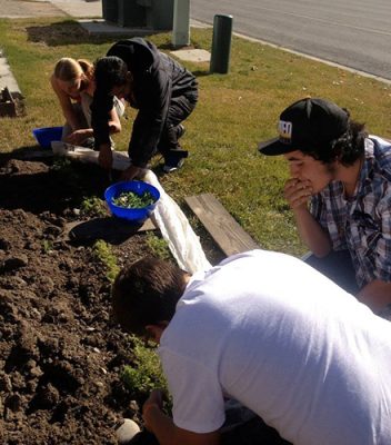People working in a garden.