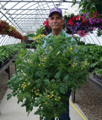 Man holding vegetable hanging basket.