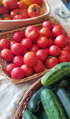 Tomatoes and cucumbers