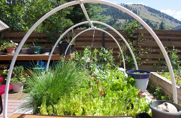 Sustainable botanical garden