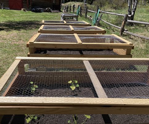 Raised garden beds