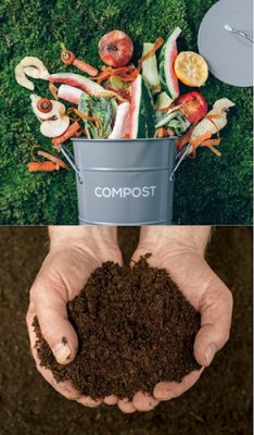 Fresh produce and hands holding compost