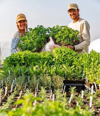 Two people holding garden greens