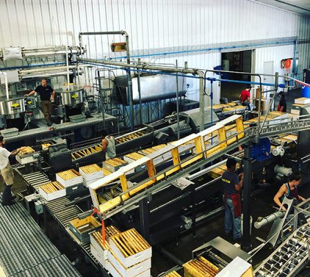 Honey processing plant