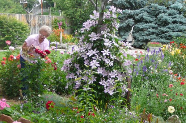 Woman in flower garden