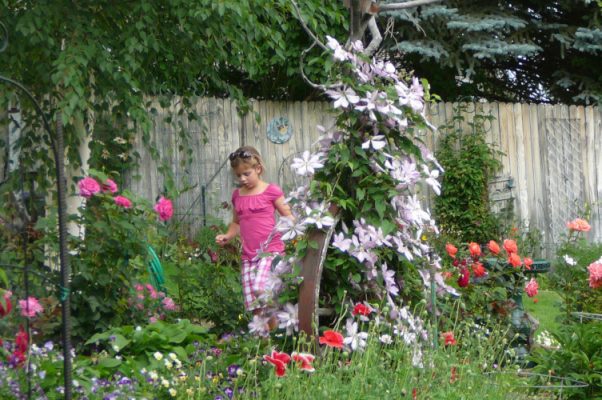 Child in flower garden