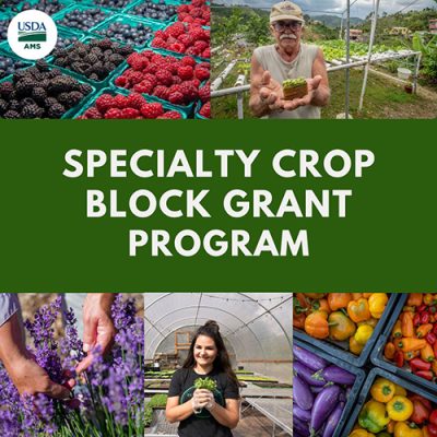 USDA AMS Specialty Crop Block Grant Program flyer
