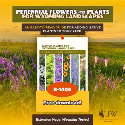 UW-Extension-1-500h UW Extension Perennial Flowers and Plants for Wyoming Landscapes cover.