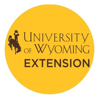 UW-Extension-2-500h UW Extension logo