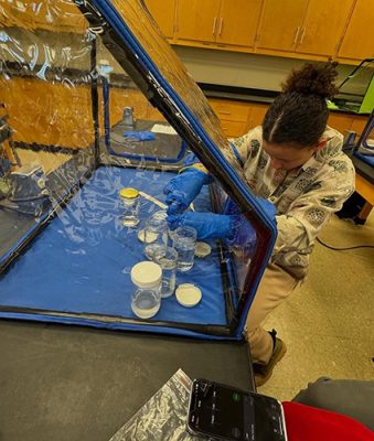 UW-Plant-Production-and-Protection-Prog-500h Student working with plants in a lab.