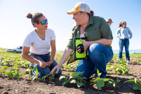 UWAG-1-500h Scientists working in the field.
