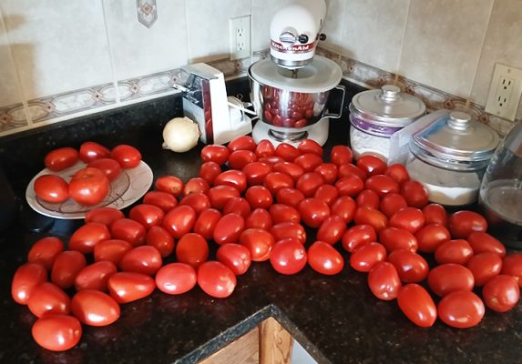 Tomatoes