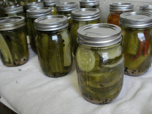 Jars of pickles