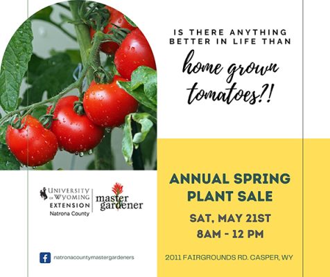 UWE-Natrona-County-office-2-500h UWE-Natrona-County-office-2-500h