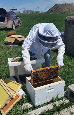UWE-Niobrara-County-4H-2-500h Person working with bee box.