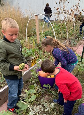 Children in a garden