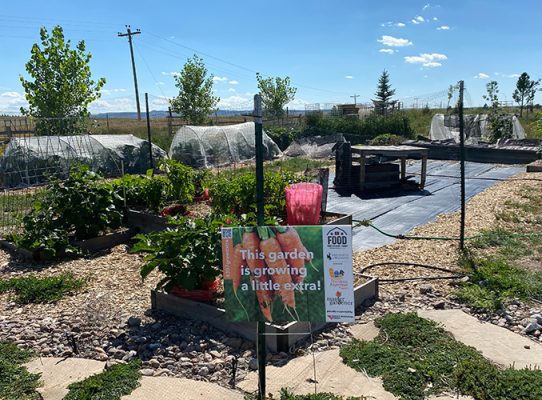 UWE-Niobrara-office-500h Garden