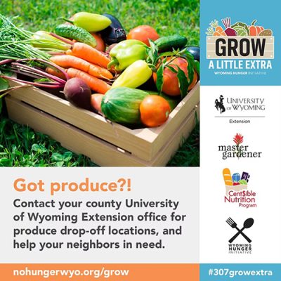 Grow a Little Extra flier