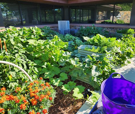 Gardens growing vegetables and flowers