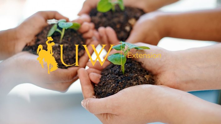 Hands holding soil with the UWE logo