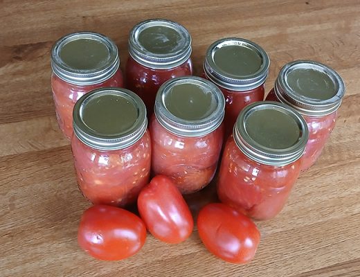 Jars of homemade tomato sauce and fresh tomatoes