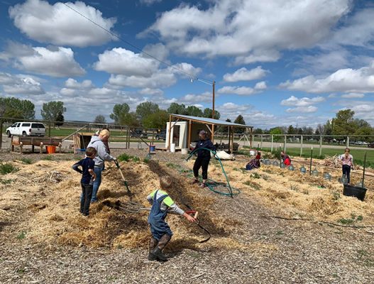 People working in a garden.