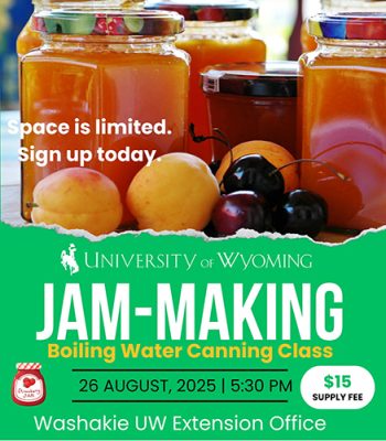 UW Extension Jam Making flyer