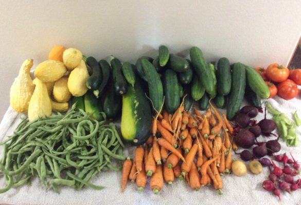 Vegetables on a table