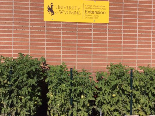 Side of red brick building with UW Extension signage