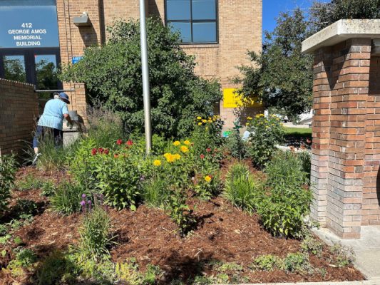 A variety of plants, including pollinator flowers, are in the garden at the Campbell County office of University of Wyoming Extension.