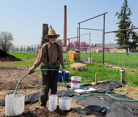 Man working in a garden