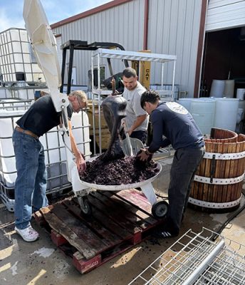 People pressing grapes