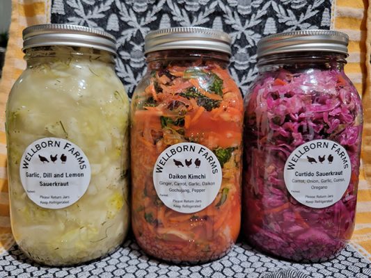 Jars of fermented foods
