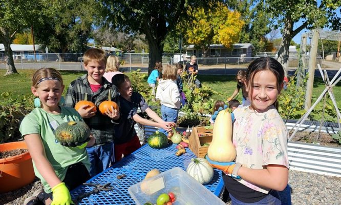 Students with squash and pumpkins