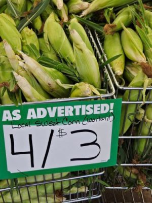 Wheeler's Basin's Market-500h