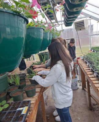 Students working in a greenhouse