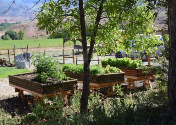 Raised garden beds