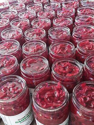 Jars of red sauerkraut