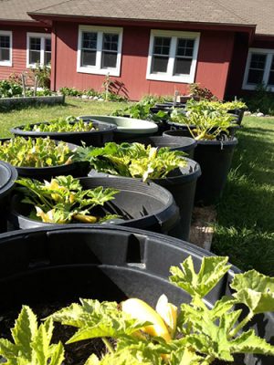 Garden pots in front of a school.