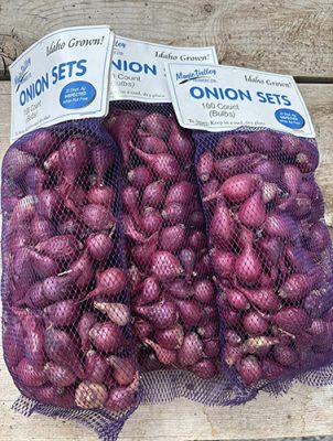 Bags of onion sets