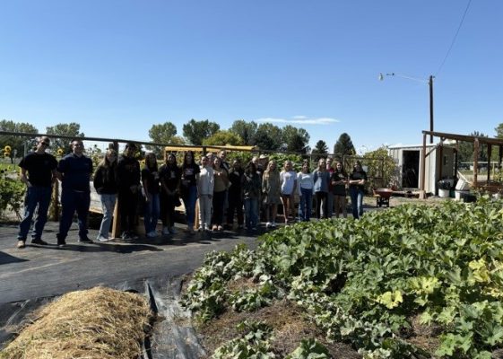 Students standing beside a garden.